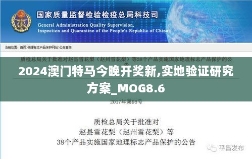 2024澳门特马今晚开奖新,实地验证研究方案_MOG8.6