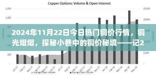 2024年11月22日铜光闪耀，探秘小巷中的热门铜价秘境之旅