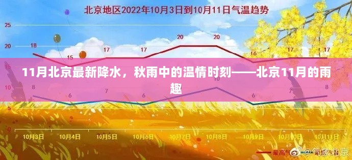 2024年11月 第716页