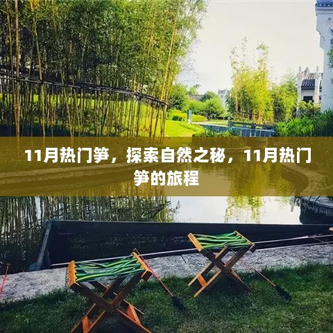 11月热门笋，探索自然之秘的旅程