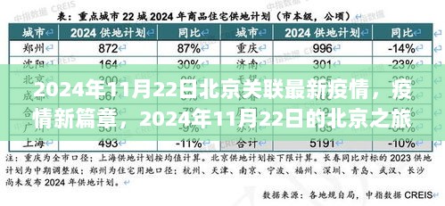 北京疫情新篇章，2024年11月22日寻找自然之美，重拾内心平静的旅程