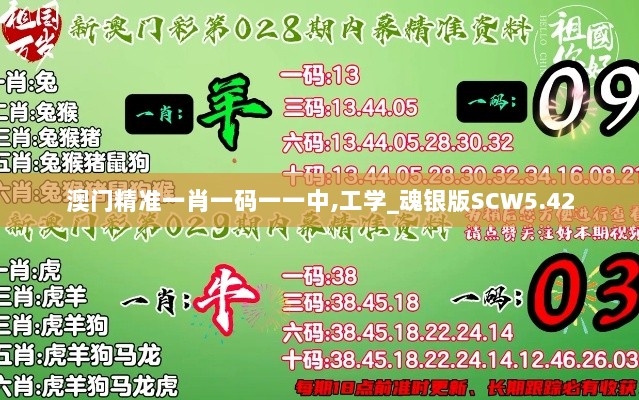 澳门精准一肖一码一一中,工学_魂银版SCW5.42