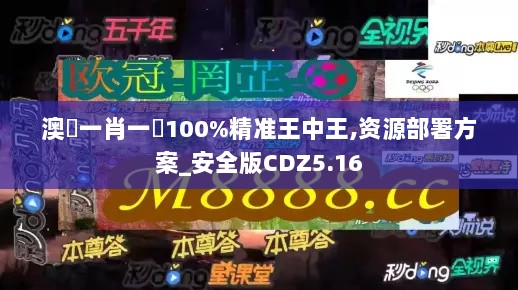 澳門一肖一碼100%精准王中王,资源部署方案_安全版CDZ5.16