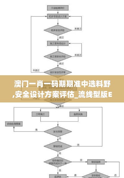 澳门一肖一码期期准中选料野,安全设计方案评估_流线型版EQR5.26