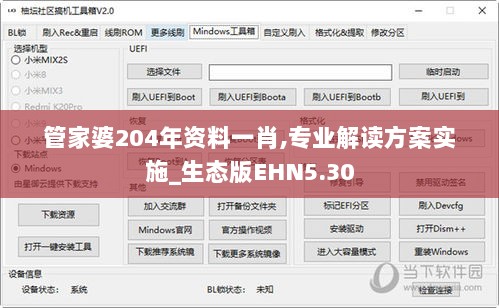 管家婆204年资料一肖,专业解读方案实施_生态版EHN5.30