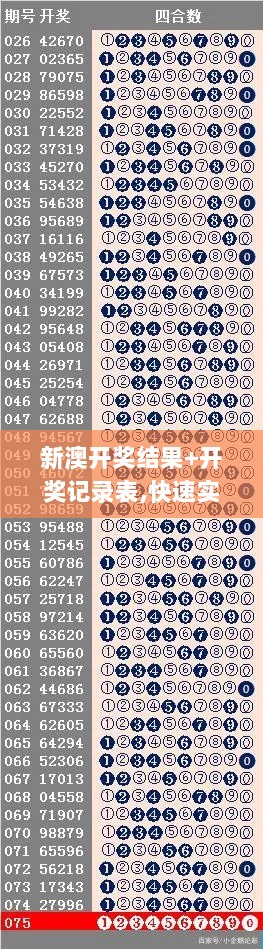 新澳开奖结果+开奖记录表,快速实施解答研究_轻量版YBK5.56