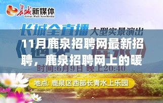 11月鹿泉招聘网最新招聘，暖心故事背后的求职招聘平台