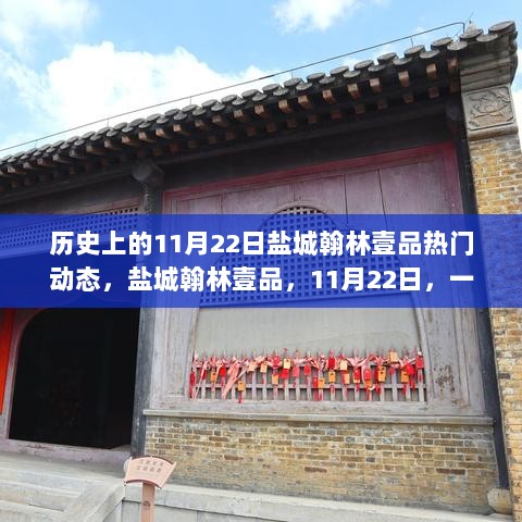 盐城翰林壹品，11月22日自然探索之旅的热门历史瞬间