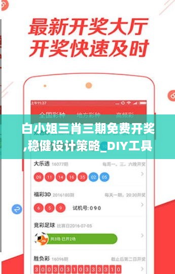 白小姐三肖三期免费开奖,稳健设计策略_DIY工具版TEZ5.42