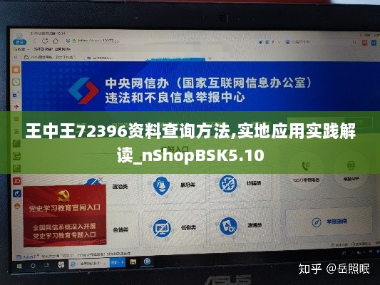 王中王72396资料查询方法,实地应用实践解读_nShopBSK5.10