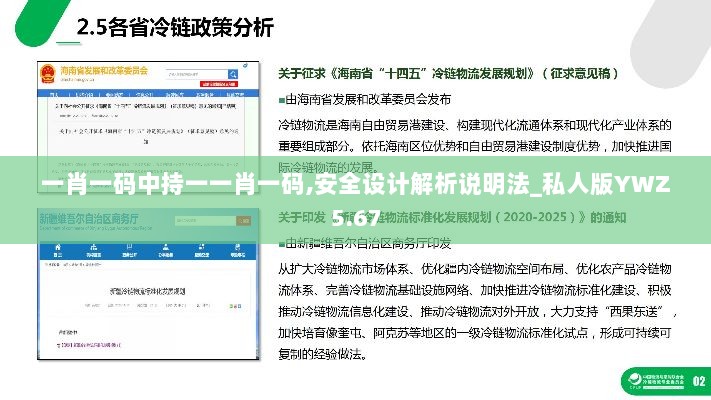 一肖一码中持一一肖一码,安全设计解析说明法_私人版YWZ5.67