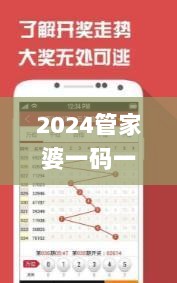 2024管家婆一码一肖资料,高效性设计规划_生态版VXQ5.7