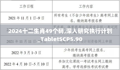 2024十二生肖49个码,深入研究执行计划_TabletSCP5.90