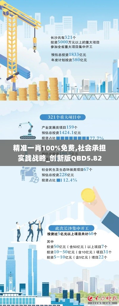 精准一肖100%免费,社会承担实践战略_创新版QBD5.82