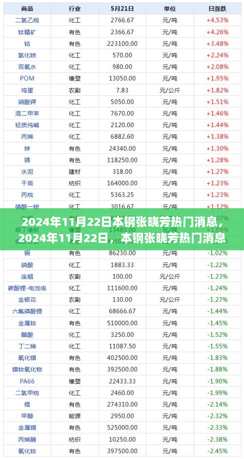 2024年11月22日张晓芳，本钢引领未来生活的高科技产品盛大发布