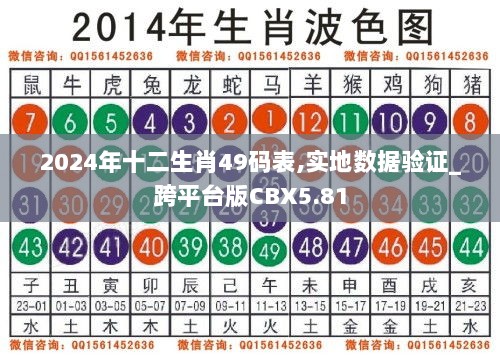 2024年十二生肖49码表,实地数据验证_跨平台版CBX5.81