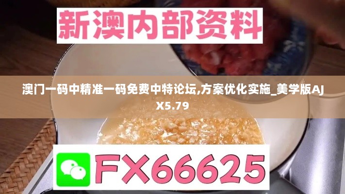 澳门一码中精准一码免费中特论坛,方案优化实施_美学版AJX5.79