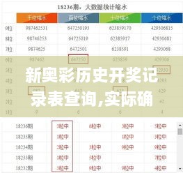 新奥彩历史开奖记录表查询,实际确凿数据解析统计_仿真版QKY5.49