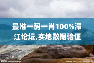 最准一码一肖100%濠江论坛,实地数据验证_轻奢版OLX5.79