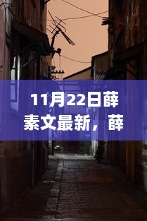 11月22日薛素文推荐，隐藏在小巷深处的特色小店探索之旅