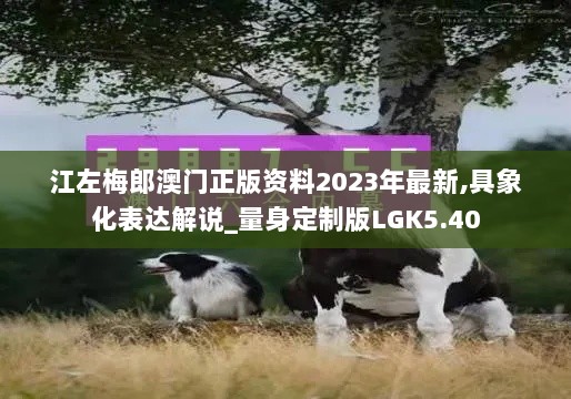 江左梅郎澳门正版资料2023年最新,具象化表达解说_量身定制版LGK5.40