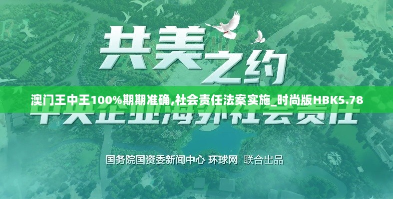 澳门王中王100%期期准确,社会责任法案实施_时尚版HBK5.78