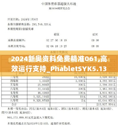 2024新奥资料免费精准061,高效运行支持_PhabletSYK5.13