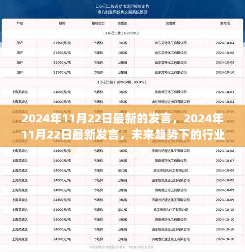 2024年11月22日最新发言，未来趋势下的行业变革与机遇