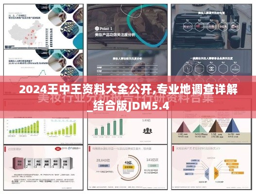 2024王中王资料大全公开,专业地调查详解_结合版JDM5.4