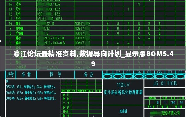 濠江论坛最精准资料,数据导向计划_显示版BOM5.49