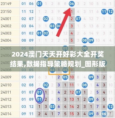 2024澳门天天开好彩大全开奖结果,数据指导策略规划_图形版DDY5.40