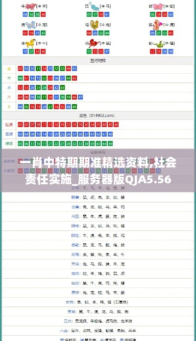 一肖中特期期准精选资料,社会责任实施_服务器版QJA5.56