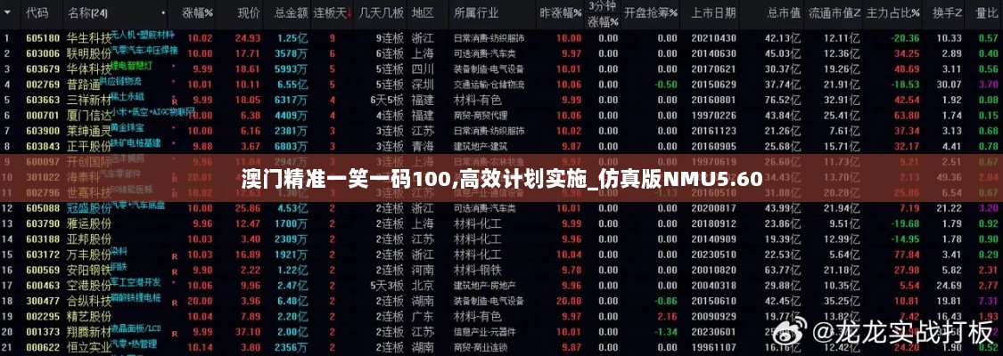 澳门精准一笑一码100,高效计划实施_仿真版NMU5.60