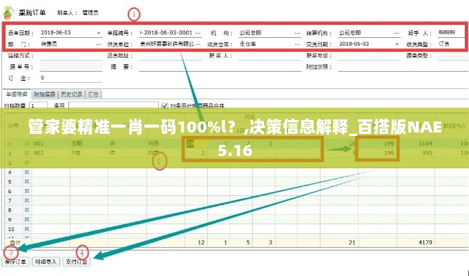 管家婆精准一肖一码100%l？,决策信息解释_百搭版NAE5.16