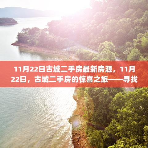 11月22日古城二手房惊喜之旅，寻找你的心灵绿洲房源指南