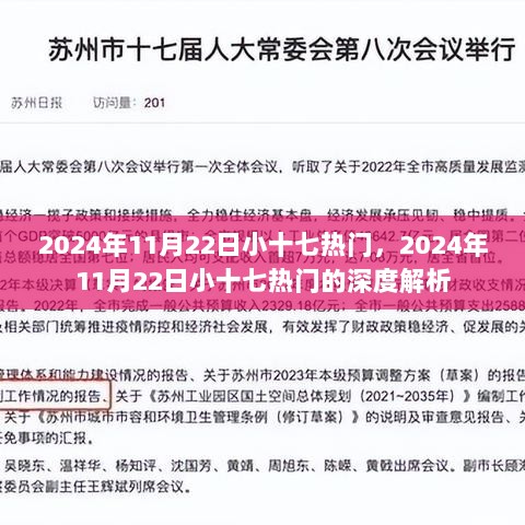 2024年11月22日小十七热门的深度解析