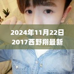 2024年西野翔的温馨日常，回忆与陪伴的交织时光