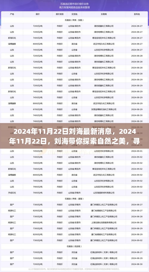 2024年11月22日刘海，自然探索之旅，寻找心灵平静的旅程