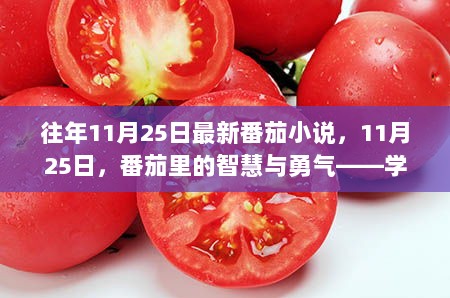 11月25日智慧与勇气，学习变化，自信塑造非凡人生