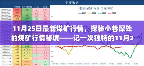 11月25日煤矿行情探秘，小巷深处揭秘煤矿市场秘境之旅