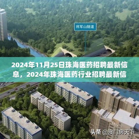 2024年珠海医药行业招聘最新信息全面解析与热门岗位概览