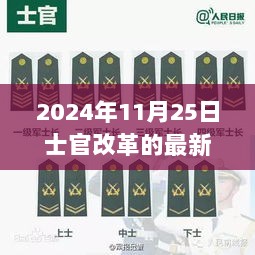 2024年士官改革，机遇与挑战共存的新篇章