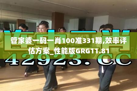 管家婆一码一肖100准331期,效率评估方案_性能版GRG11.81