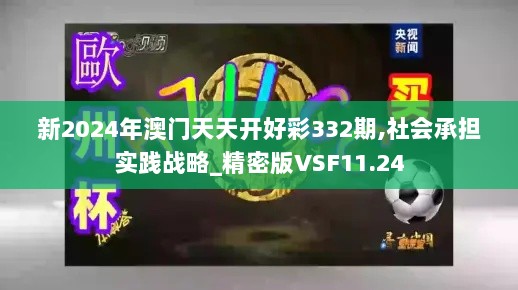 新2024年澳门天天开好彩332期,社会承担实践战略_精密版VSF11.24