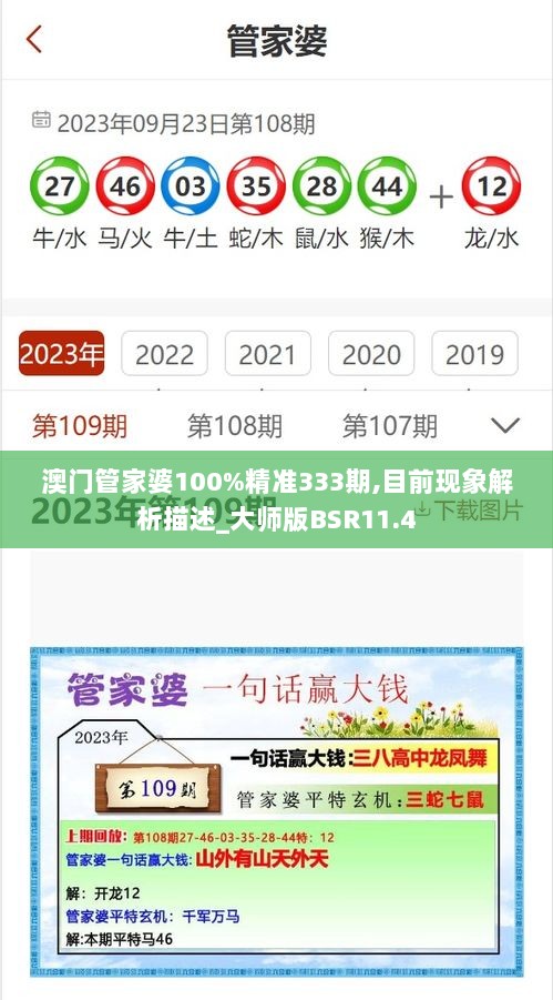 澳门管家婆100%精准333期,目前现象解析描述_大师版BSR11.4