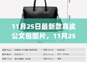 11月25日新款真皮公文包，时尚与专业的完美融合