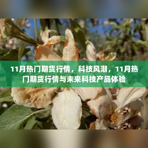 11月科技风潮下的热门期货行情与未来产品体验展望