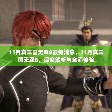 11月真三国无双8，深度解析与全面体验