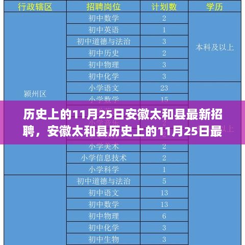 安徽太和县历史上的11月25日最新招聘，全面解析与体验报告