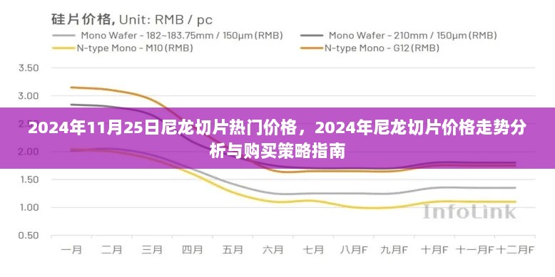 2024年尼龙切片价格走势分析与热门价格购买策略指南